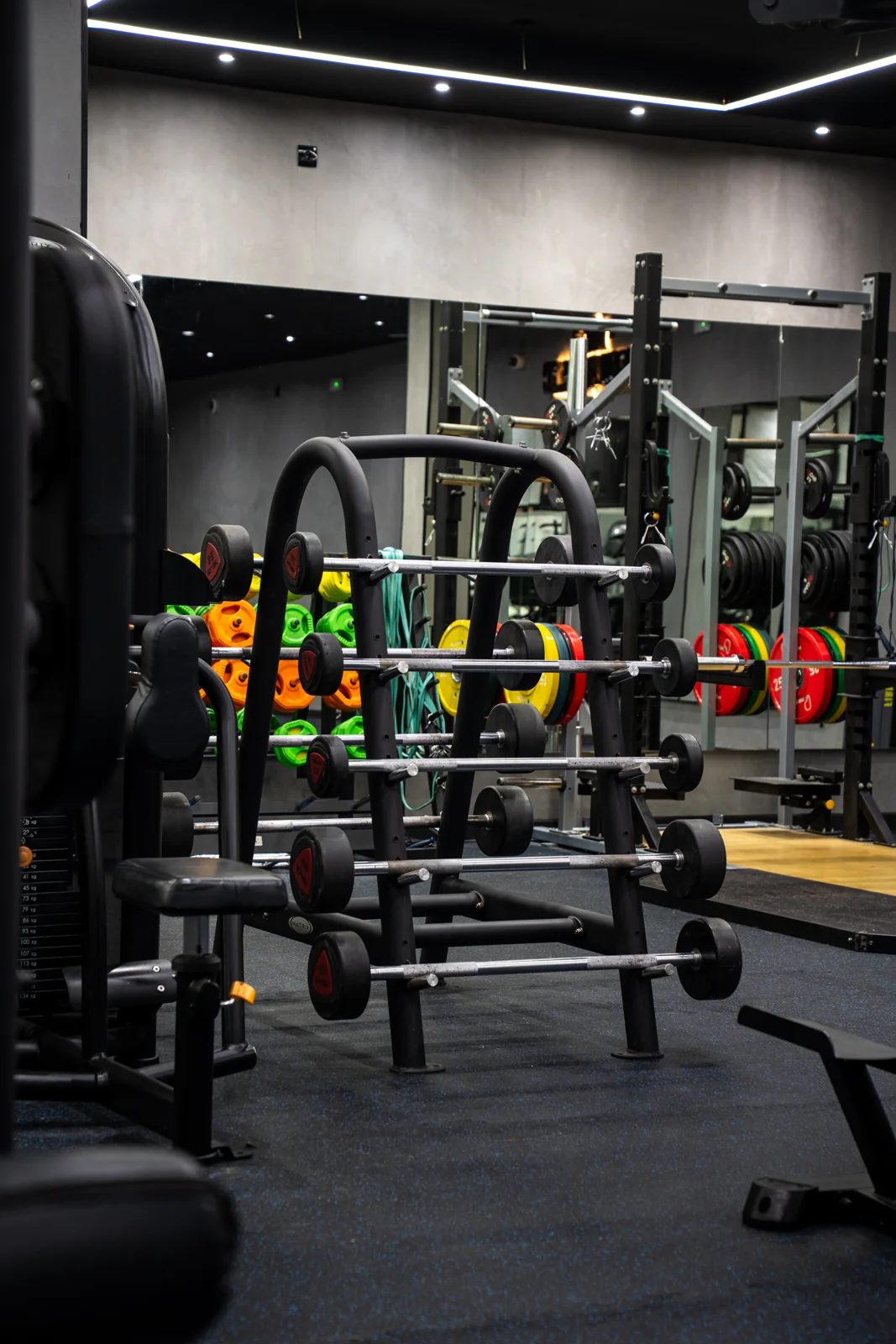 Functional training rig and coloured weight plates